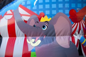 disco circus